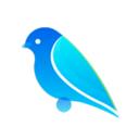 Bugu China VPN, 布谷鸟国内翻墙加速器