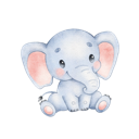 Daxiang China VPN, 宏伟的象群国内翻墙加速器