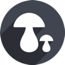 Mogu China VPN, 蘑菇国内翻墙加速器